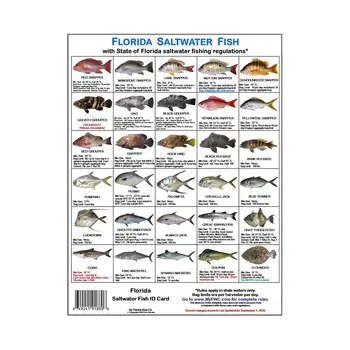 Rybársky Preukaz Farebné Fotografie Florida Vôd Pravidlá Rybárov Identifikačné Karty